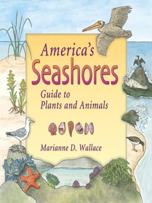 cover image of America's Seashores